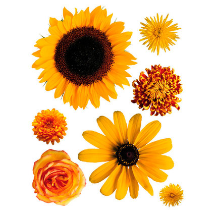 СТИКЕР 65Х85/1Ч СЛЪНЦЕ ЦВЕТЕ ГОЛЯМО СТИКЕР 65Х85/1Ч СЛЪНЦЕ ЦВЕТЕ ГОЛЯМО