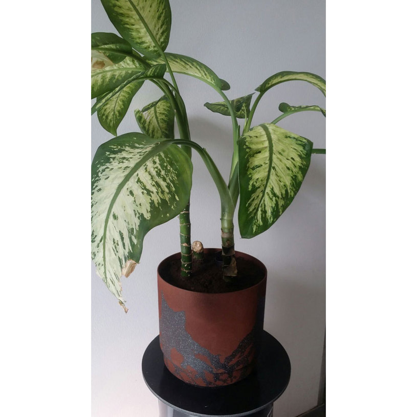 СПРЕЙ БОЯ С ЕФЕКТ НА РЪЖДА МАТ 400 ml СПРЕЙ БОЯ С ЕФЕКТ НА РЪЖДА МАТ 400 ml