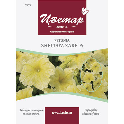 ЦВЕТАР ПЕТУНИЯ ЖЪЛТА ЕДРОЦВЕТНА ЦВЕТАР ПЕТУНИЯ ЖЪЛТА ЕДРОЦВЕТНА