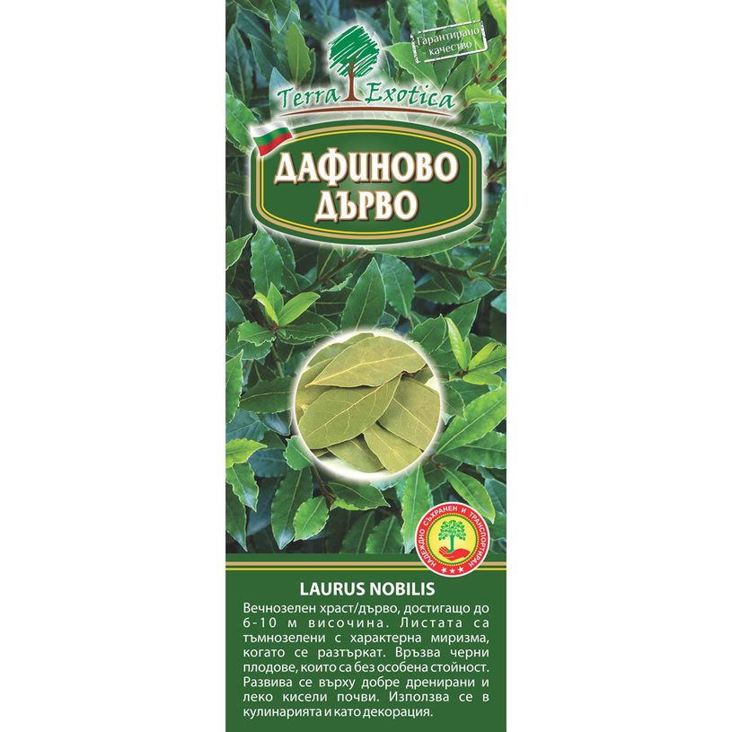 ДАФИНОВО ДЪРВО В КУТИЯ ДАФИНОВО ДЪРВО В КУТИЯ