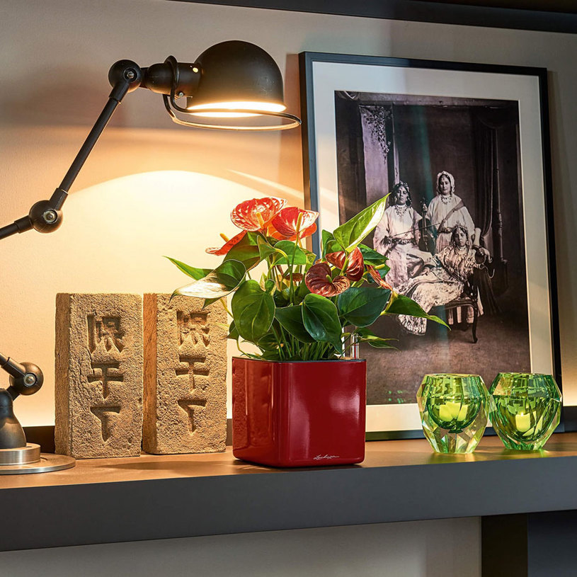 КАШПА НАП.С-МА CUBEGLOSSY14 ЧЕРВЕН 1351 КАШПА НАП.С-МА CUBEGLOSSY14 ЧЕРВЕН 1351