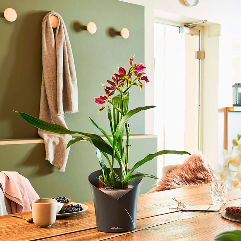 КАШПА НАП.С-МА ORCHIDEA ГРАФИТ МАТ 13961 КАШПА НАП.С-МА ORCHIDEA ГРАФИТ МАТ 13961