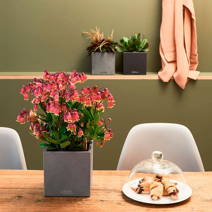 *КАШПА НАП.С-МА CANTO STONE14 ЦИМЕНТ 134 *КАШПА НАП.С-МА CANTO STONE14 ЦИМЕНТ 134