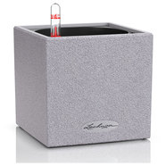 КАШПА 14X14CM С НАПОИТЕЛНА СИСТЕМА LECHUZA CANTO STONE КАШПА 14X14CM С НАПОИТЕЛНА СИСТЕМА LECHUZA CANTO STONE