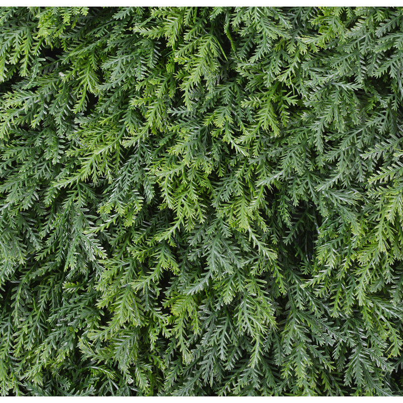 **ДЕКОР ПЛОЧКИ ИЗК.ОЗЕ ТУЯ 50X50СМ Х4БР **ДЕКОР ПЛОЧКИ ИЗК.ОЗЕ ТУЯ 50X50СМ Х4БР