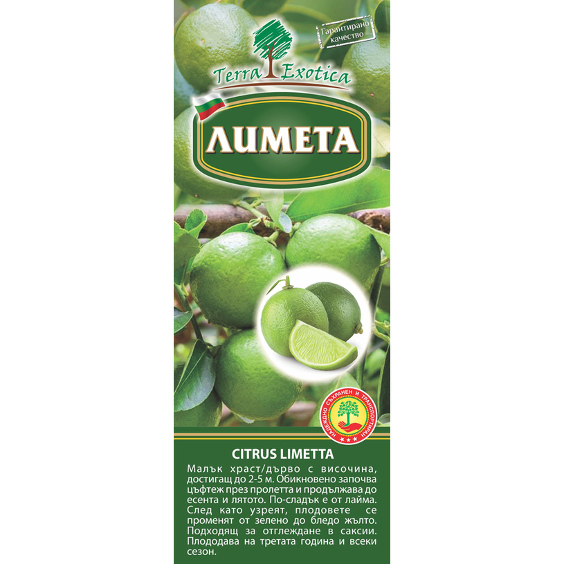 *КОРЕН ЛИМЕТА/ЛАЙМ 1БР. В КУТИЯ *КОРЕН ЛИМЕТА/ЛАЙМ 1БР. В КУТИЯ