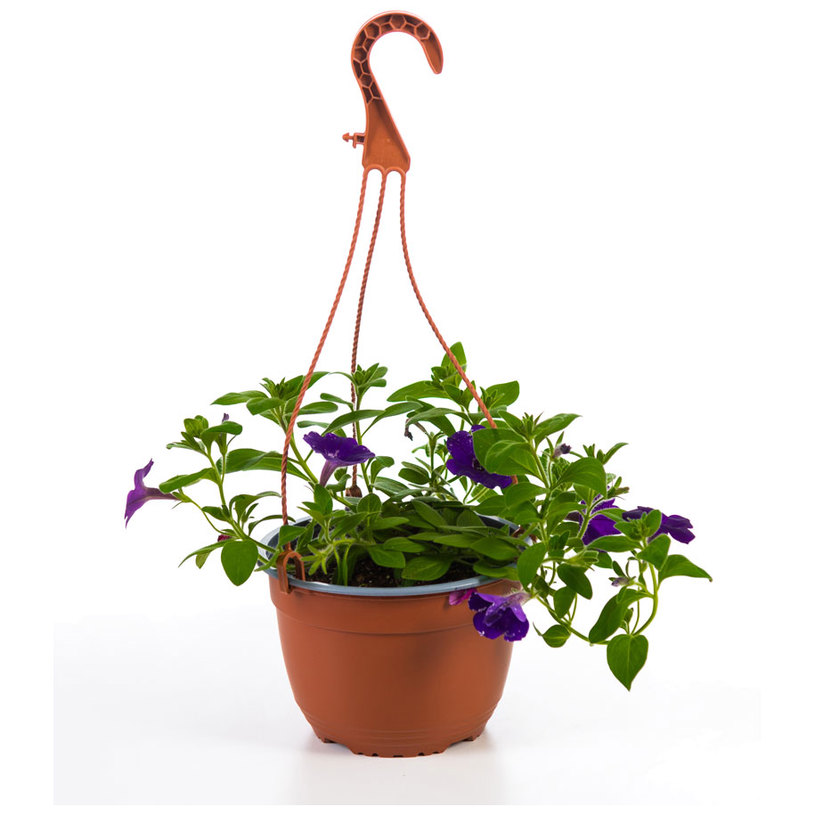КОШНИЦА КАСКАДНА ПЕТУНИЯ Ф19CM КОШНИЦА КАСКАДНА ПЕТУНИЯ Ф19CM
