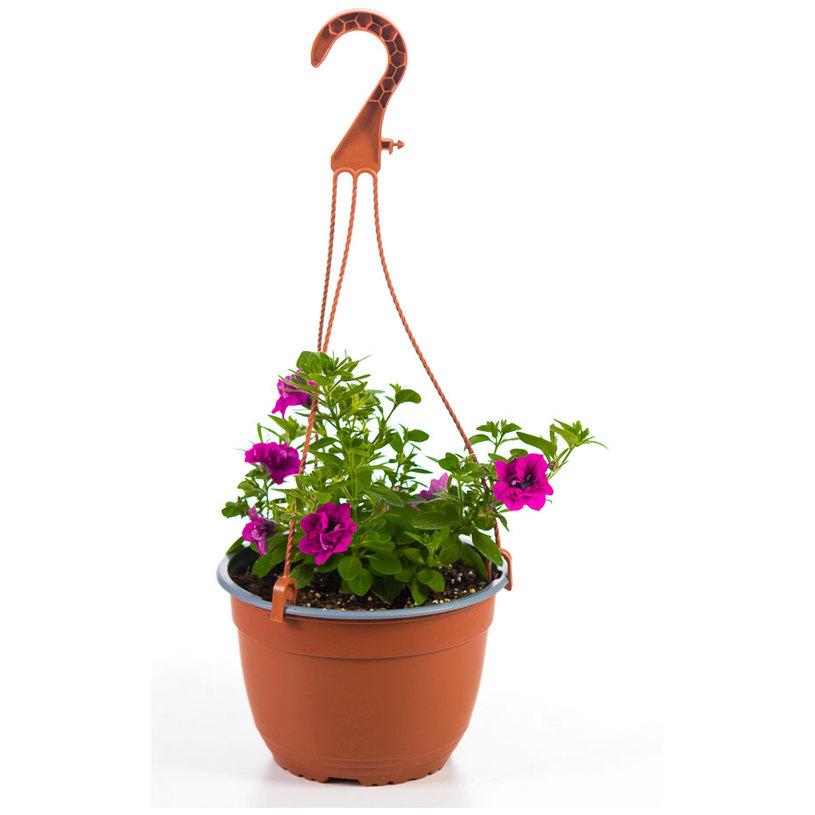 КОШНИЦА КАСКАДНА ПЕТУНИЯ Ф19CM КОШНИЦА КАСКАДНА ПЕТУНИЯ Ф19CM
