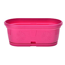 САНДЪЧЕ ГЕРБЕР 20СМ ЦИКЛАМА С ПОДЛОЖКА САНДЪЧЕ ГЕРБЕР 20СМ ЦИКЛАМА С ПОДЛОЖКА