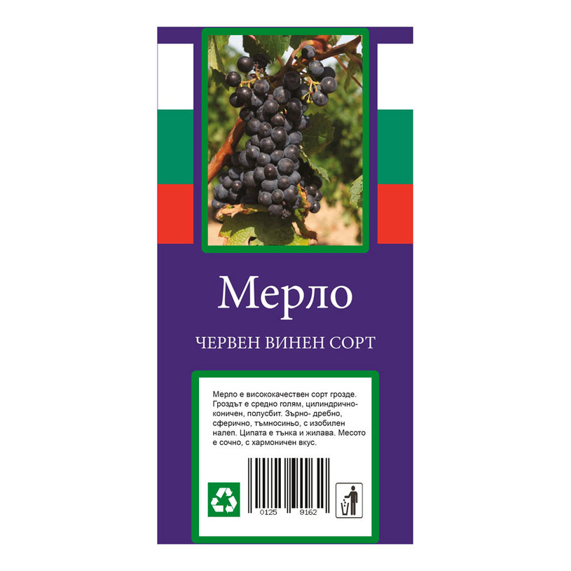 ЛОЗИ ВИНЕНИ СОРТОВЕ В ПАКЕТ ЛОЗИ ВИНЕНИ СОРТОВЕ В ПАКЕТ