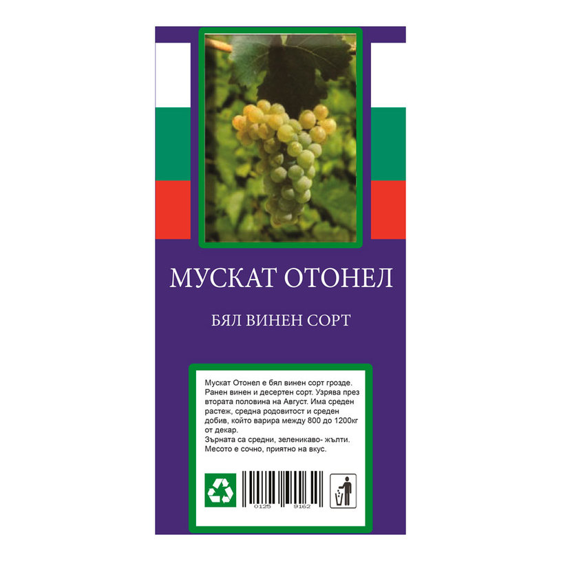 ЛОЗИ ВИНЕНИ СОРТОВЕ В ПАКЕТ ЛОЗИ ВИНЕНИ СОРТОВЕ В ПАКЕТ