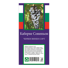 КОРЕН ЛОЗА ВИНЕН СОРТ КОРЕН ЛОЗА ВИНЕН СОРТ