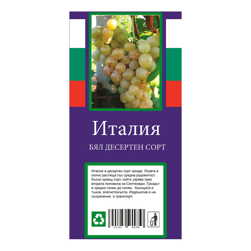 ЛОЗИ ДЕСЕРТНИ СОРТОВЕ В ПАКЕТ ЛОЗИ ДЕСЕРТНИ СОРТОВЕ В ПАКЕТ