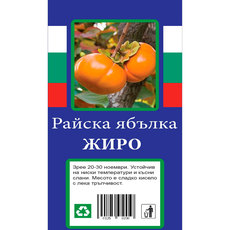 РАЙСКА ЯБЪЛКА С ПАКЕТИРАН КОРЕН РАЙСКА ЯБЪЛКА С ПАКЕТИРАН КОРЕН