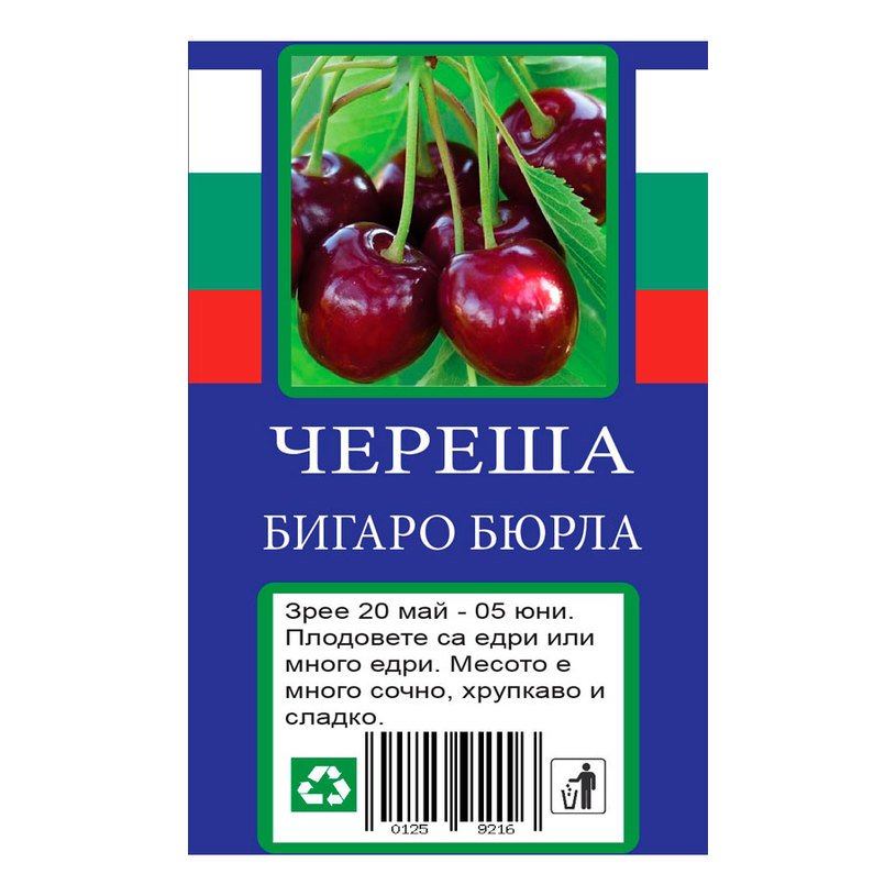 ЧЕРЕША ЧЕРЕША