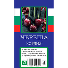 ЧЕРЕША С ПАКЕТИРАН КОРЕН ЧЕРЕША С ПАКЕТИРАН КОРЕН