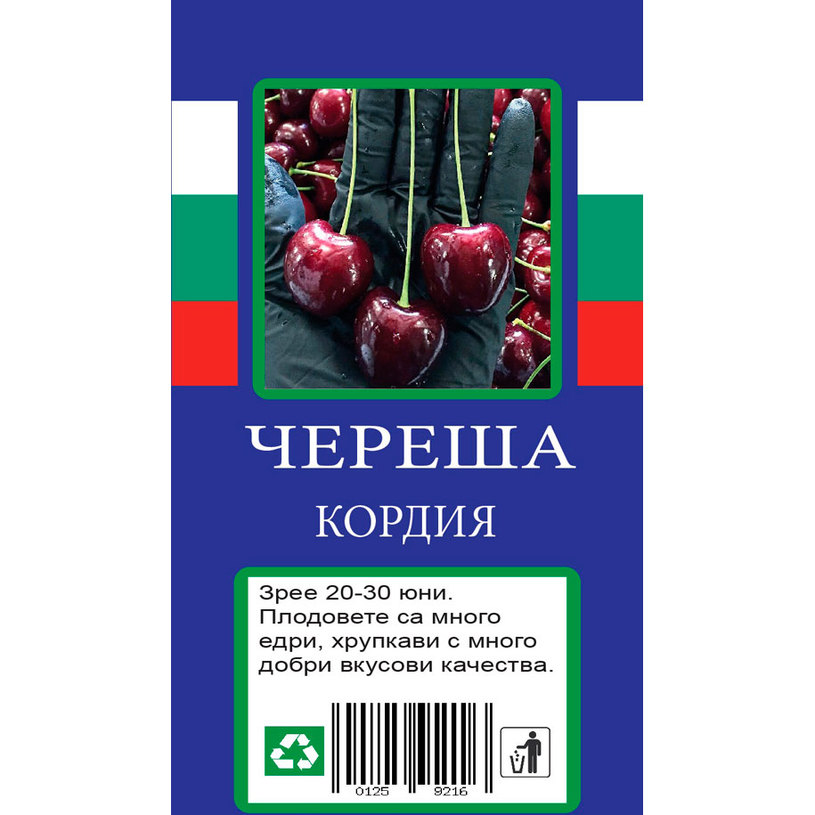 ЧЕРЕША ЧЕРЕША