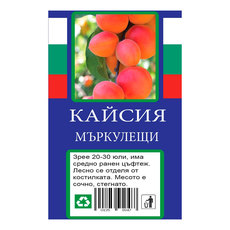КАЙСИЯ С ПАКЕТИРАН КОРЕН КАЙСИЯ С ПАКЕТИРАН КОРЕН