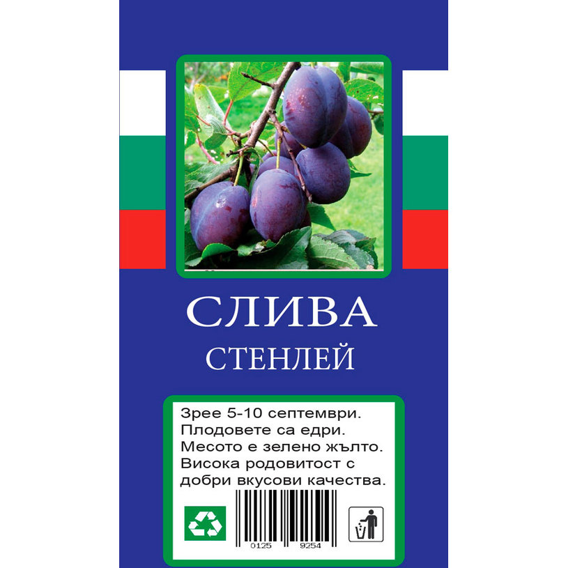 &СЛИВА &СЛИВА
