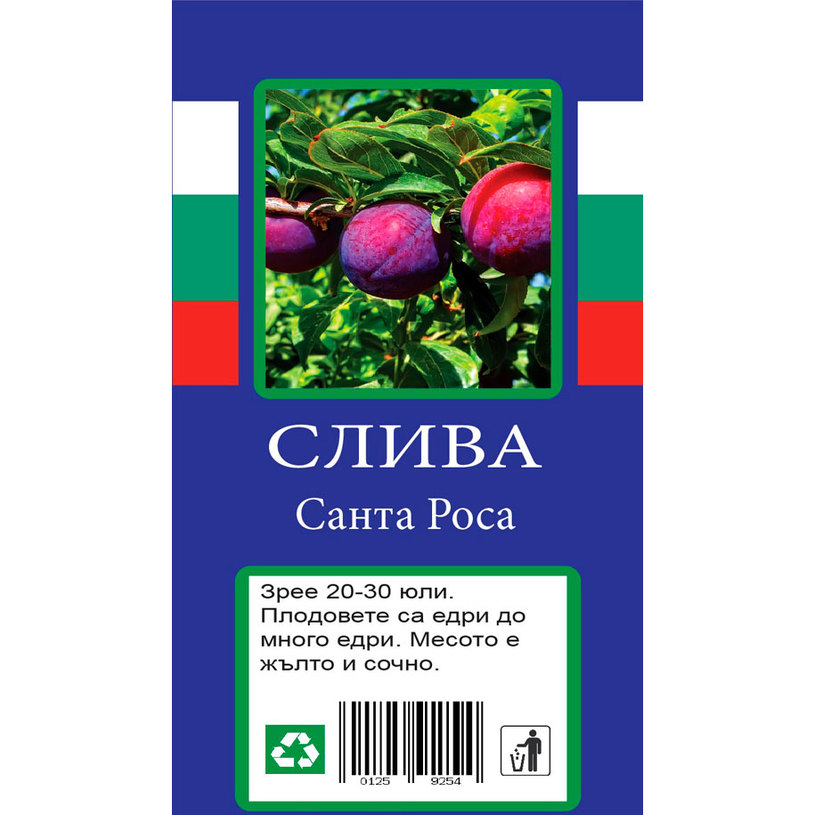 &СЛИВА &СЛИВА