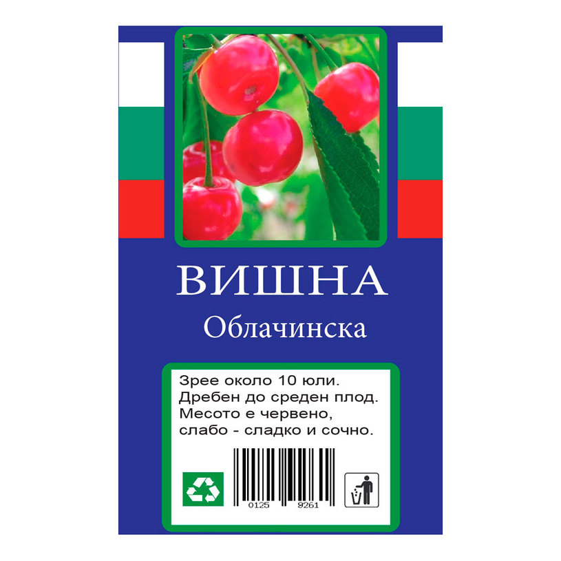 &ВИШНА &ВИШНА