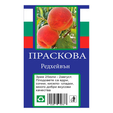 ПРАСКОВА С ПАКЕТИРАН КОРЕН ПРАСКОВА С ПАКЕТИРАН КОРЕН