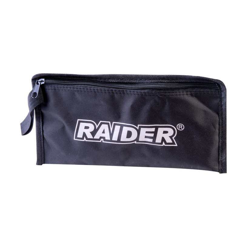 RAIDER PRO МОТОРЕН БЕНЗ. ТРИОН RDP-GCS25 RAIDER PRO МОТОРЕН БЕНЗ. ТРИОН RDP-GCS25