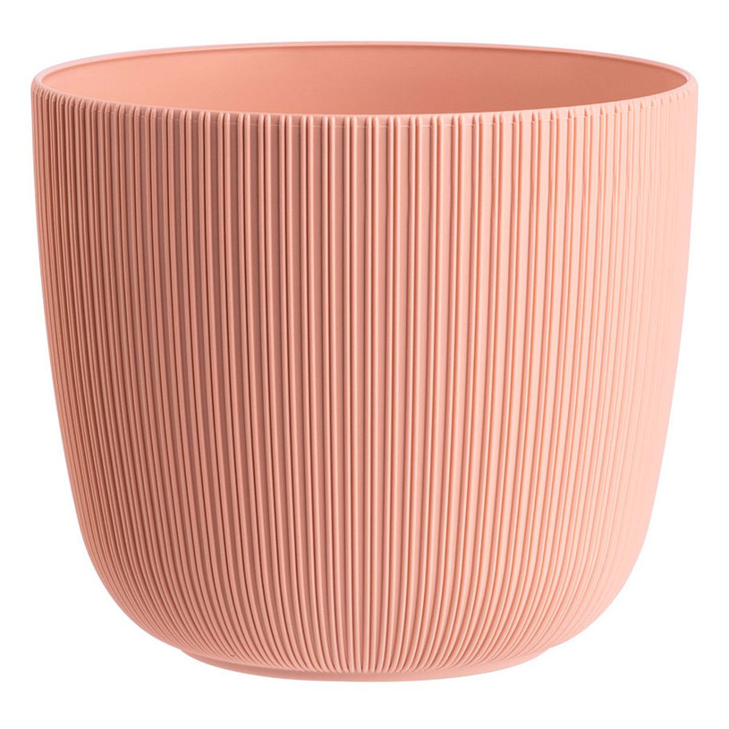 КАШПА ВИОЛА Ф15СМ КОРАЛ КАШПА ВИОЛА Ф15СМ КОРАЛ