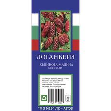 КОРЕН ЛОГАНБЕРИ КОРЕН ЛОГАНБЕРИ