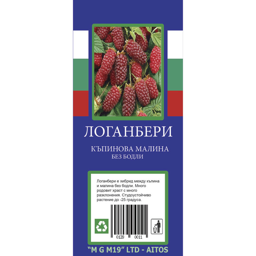 &КОРЕН ЛОГАНБЕРИ &КОРЕН ЛОГАНБЕРИ