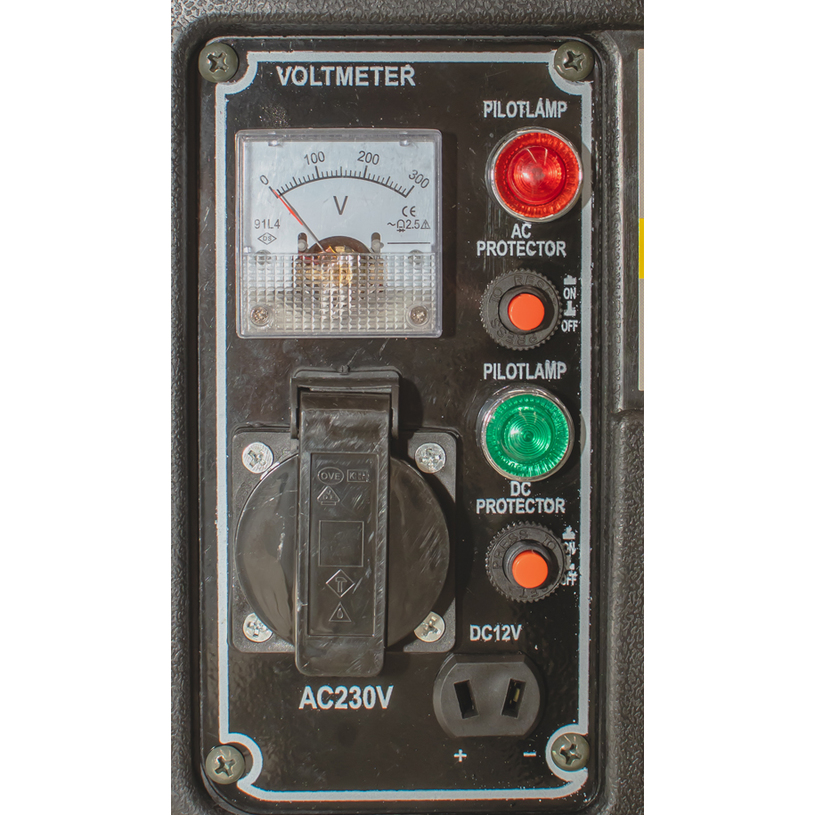 RAIDER БЕНЗ. ЕЛЕКТРОГЕНЕРАТОР RD-GG08 RAIDER БЕНЗ. ЕЛЕКТРОГЕНЕРАТОР RD-GG08