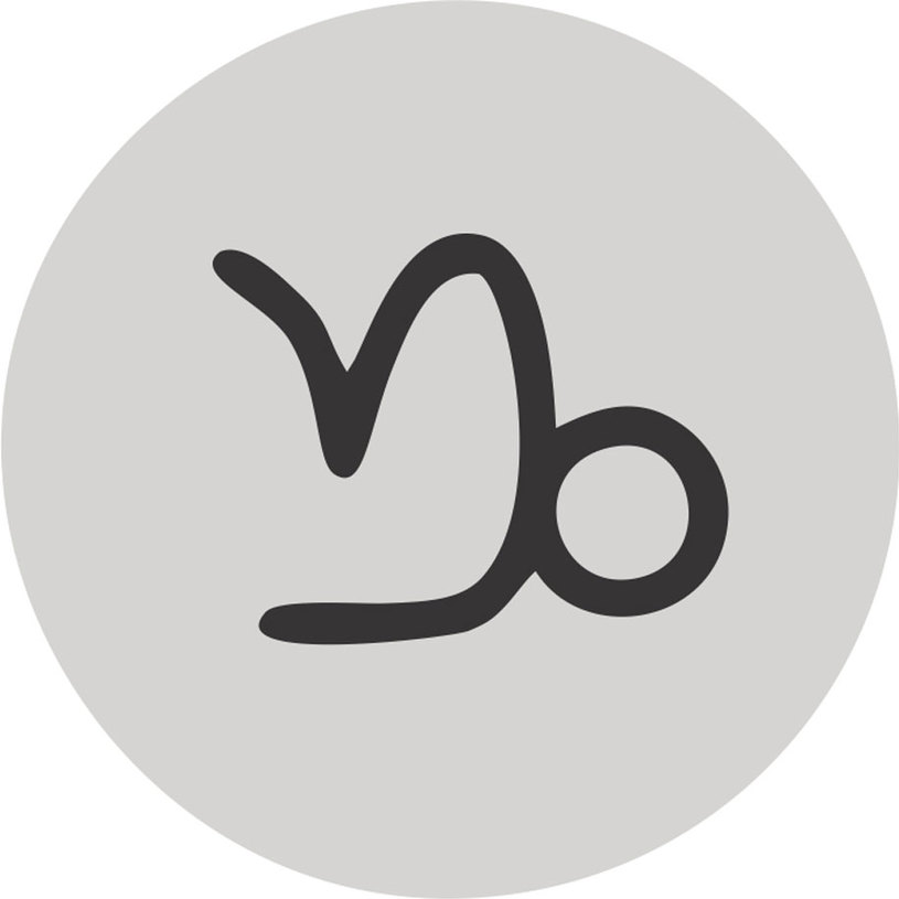 ZODIAC ИНТЕРИОРНА БОЯ КОЗИРОГ 2.2 L ZODIAC ИНТЕРИОРНА БОЯ КОЗИРОГ 2.2 L