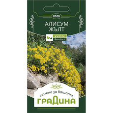 СЕМЕНА АЛИСУМ ЖЪЛТ ГРАДИНА СЕМЕНА АЛИСУМ ЖЪЛТ ГРАДИНА