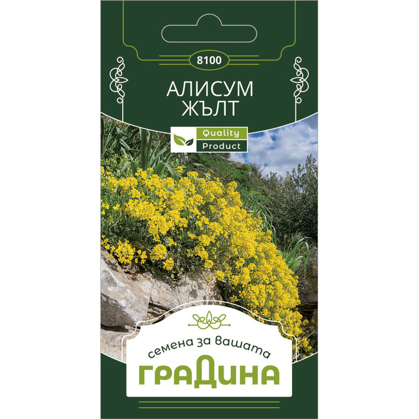 АЛИСУМ ЖЪЛТ СЕМЕНА ЗА ЦВЕТЯ ГРАДИНА АЛИСУМ ЖЪЛТ СЕМЕНА ЗА ЦВЕТЯ ГРАДИНА
