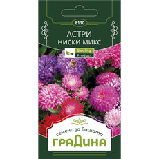 СЕМЕНА АСТРА НИСКА МИКС ГРАДИНА СЕМЕНА АСТРА НИСКА МИКС ГРАДИНА