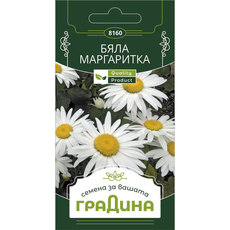 СЕМЕНА МАРГАРИТКА БЯЛА ГРАДИНА СЕМЕНА МАРГАРИТКА БЯЛА ГРАДИНА