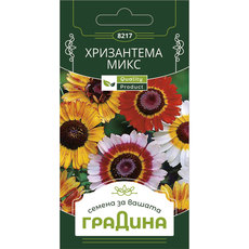 СЕМЕНА ХРИЗАНТЕМА ГРАДИНА СЕМЕНА ХРИЗАНТЕМА ГРАДИНА