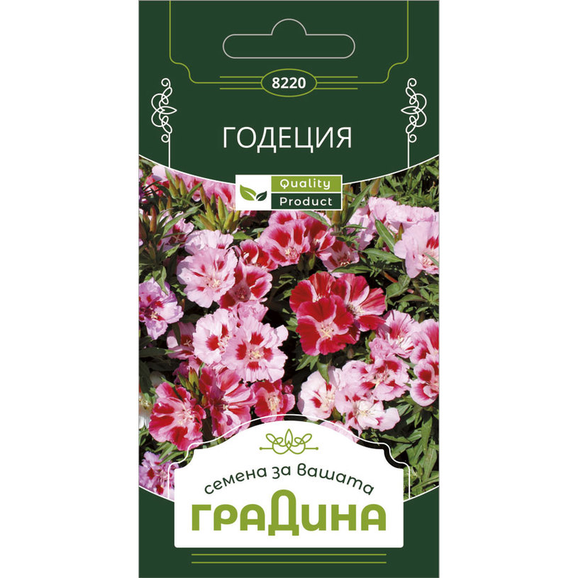 ГОДЕЦИЯ СЕМЕНА ЗА ЦВЕТЯ ГРАДИНА ГОДЕЦИЯ СЕМЕНА ЗА ЦВЕТЯ ГРАДИНА
