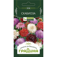 СЕМЕНА СКАБИОЗА ГРАДИНА СЕМЕНА СКАБИОЗА ГРАДИНА