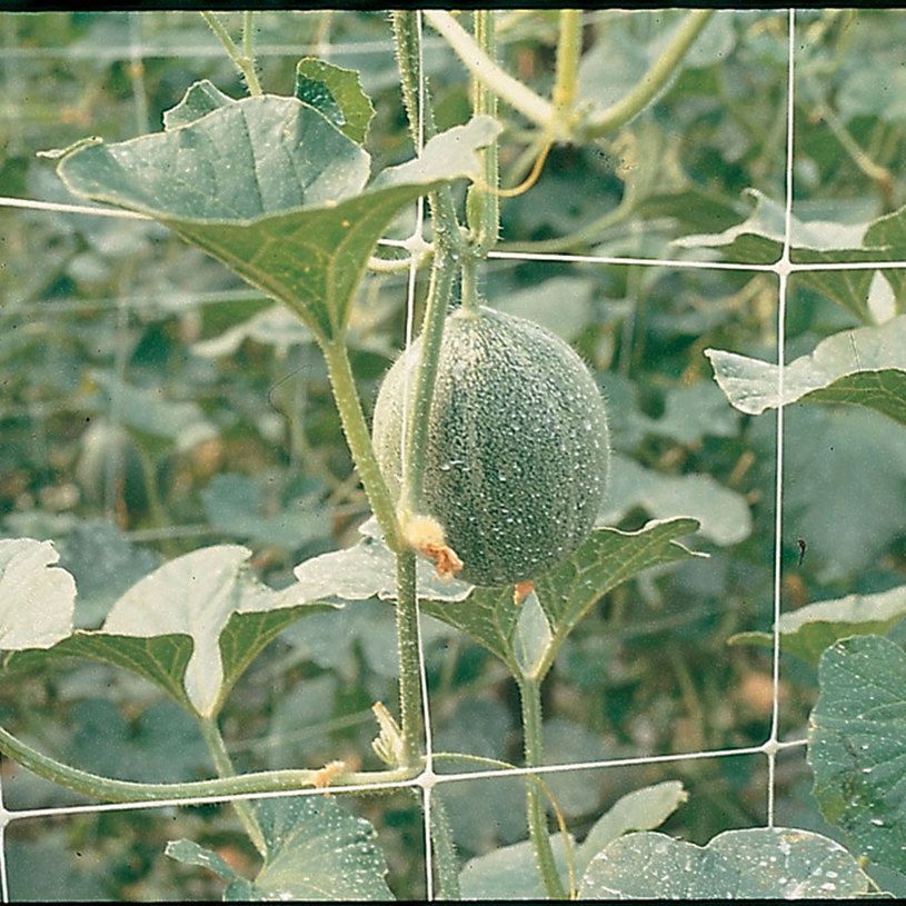 МРЕЖА ЗА УВ.РАСТЕНИЯ PVC HORTONOVA H=2.0 МРЕЖА ЗА УВ.РАСТЕНИЯ PVC HORTONOVA H=2.0