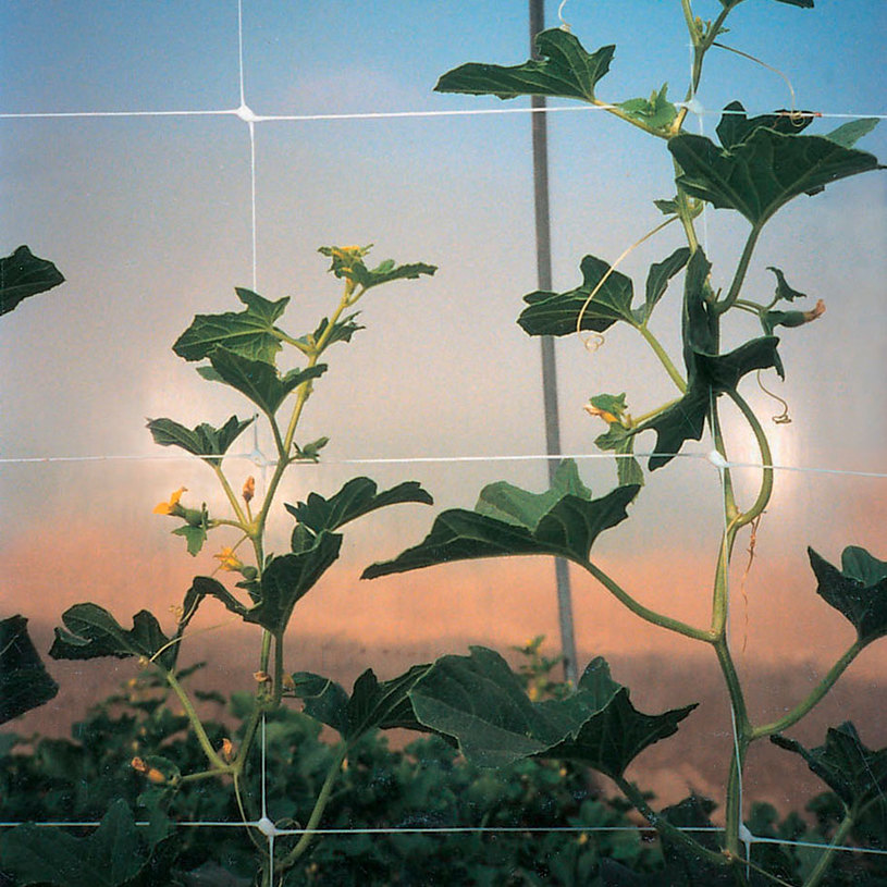 МРЕЖА ЗА УВ.РАСТЕНИЯ PVC HORTONOVA H=2.0 МРЕЖА ЗА УВ.РАСТЕНИЯ PVC HORTONOVA H=2.0