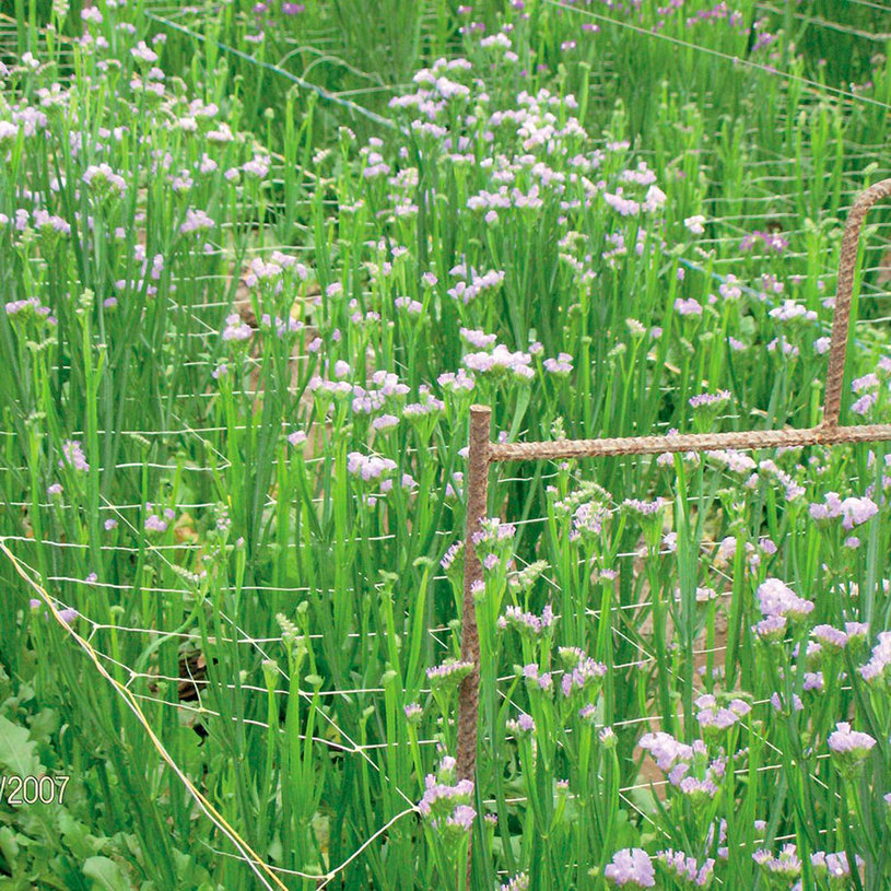 МРЕЖА ЗА УВ.РАСТЕНИЯ PVC HORTONOVA H=2.0 МРЕЖА ЗА УВ.РАСТЕНИЯ PVC HORTONOVA H=2.0