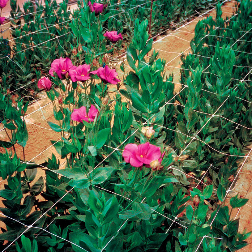 МРЕЖА ЗА УВ.РАСТЕНИЯ PVC HORTONOVA H=2.0 МРЕЖА ЗА УВ.РАСТЕНИЯ PVC HORTONOVA H=2.0