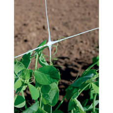 МРЕЖА ЗА УВИВНИ РАСТЕНИЯ 200CM TENAX HORTONOVA МРЕЖА ЗА УВИВНИ РАСТЕНИЯ 200CM TENAX HORTONOVA