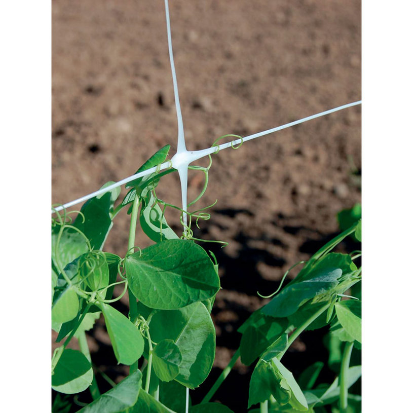 МРЕЖА ЗА УВ.РАСТЕНИЯ PVC HORTONOVA H=2.0 МРЕЖА ЗА УВ.РАСТЕНИЯ PVC HORTONOVA H=2.0