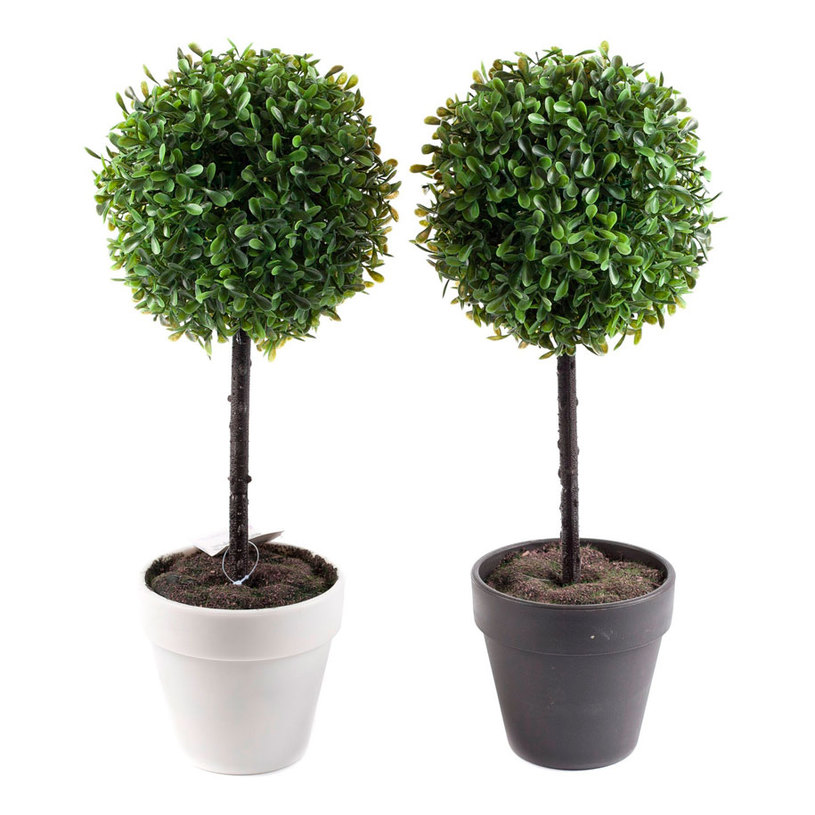 ИЗКУСТВЕН ЧЕМШИР В САКСИЯ 38cm 317002160 ИЗКУСТВЕН ЧЕМШИР В САКСИЯ 38cm 317002160