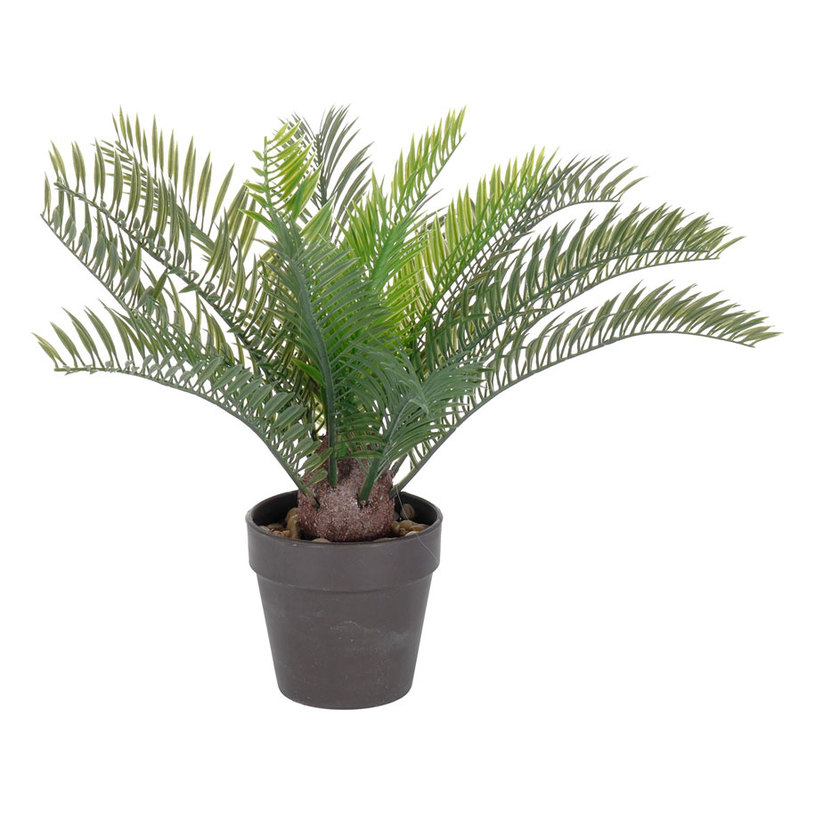 ИЗКУСТВЕНА ПАЛМА В САКСИЯ 30cm 317002260 ИЗКУСТВЕНА ПАЛМА В САКСИЯ 30cm 317002260