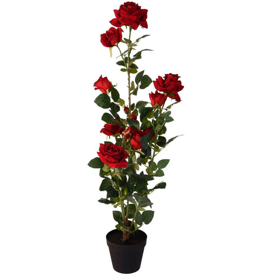 Ready-potted arrangement, decor in seconds