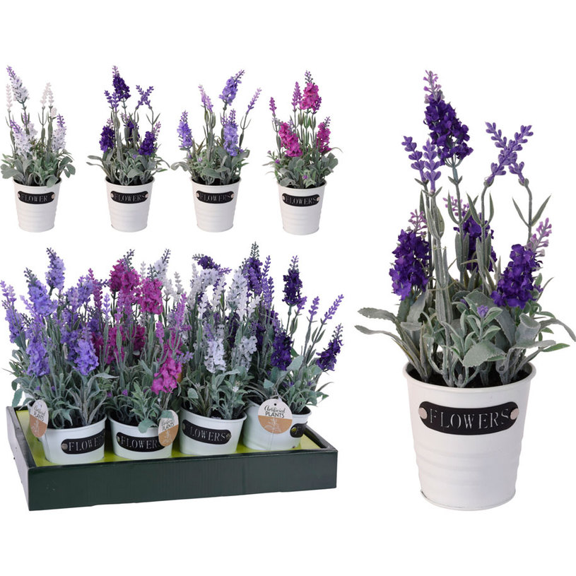 ИЗК. РАСТЕНИЕ ЛАВАНДУЛА H:29CM Ф10CM MIX ИЗК. РАСТЕНИЕ ЛАВАНДУЛА H:29CM Ф10CM MIX