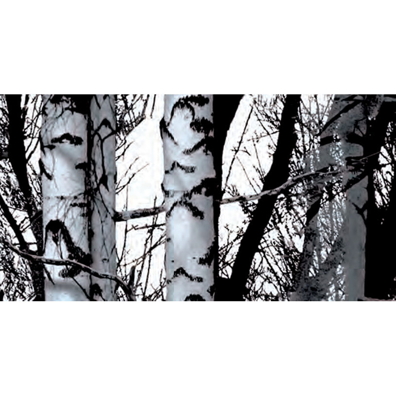 ФОЛИО ДЕКОРАТИВНО ДЪРВО 45Х200 СМ ФОЛИО ДЕКОРАТИВНО ДЪРВО 45Х200 СМ